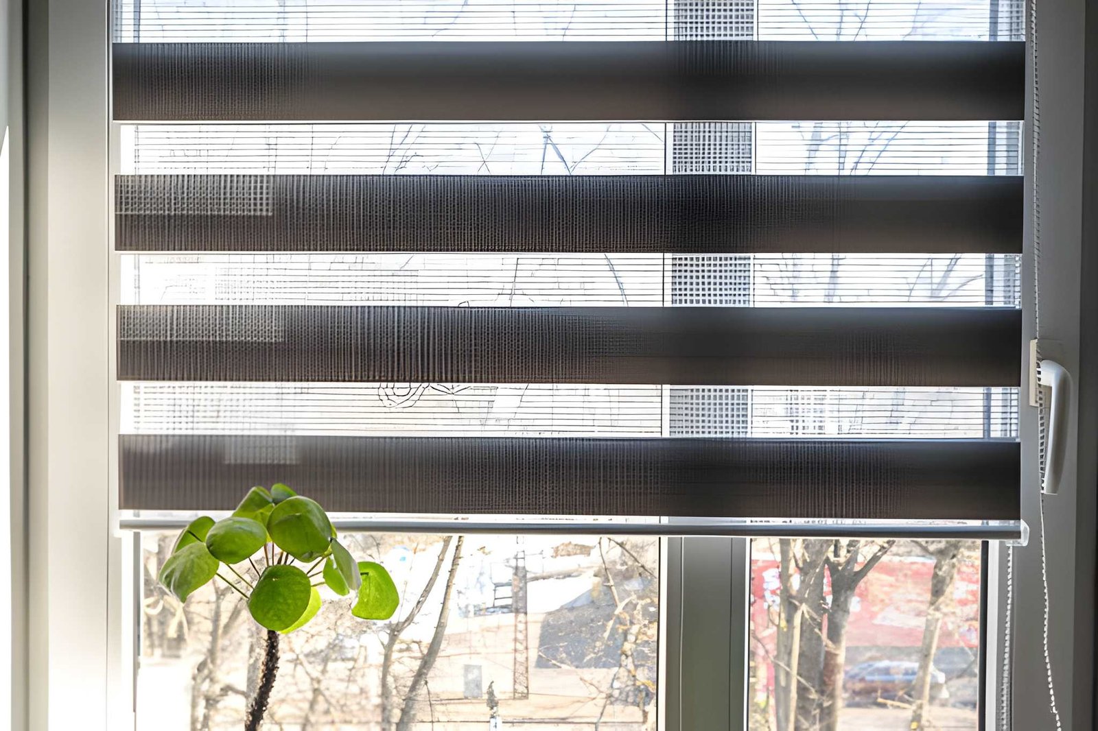 Roller Blinds in Dubai - view 2